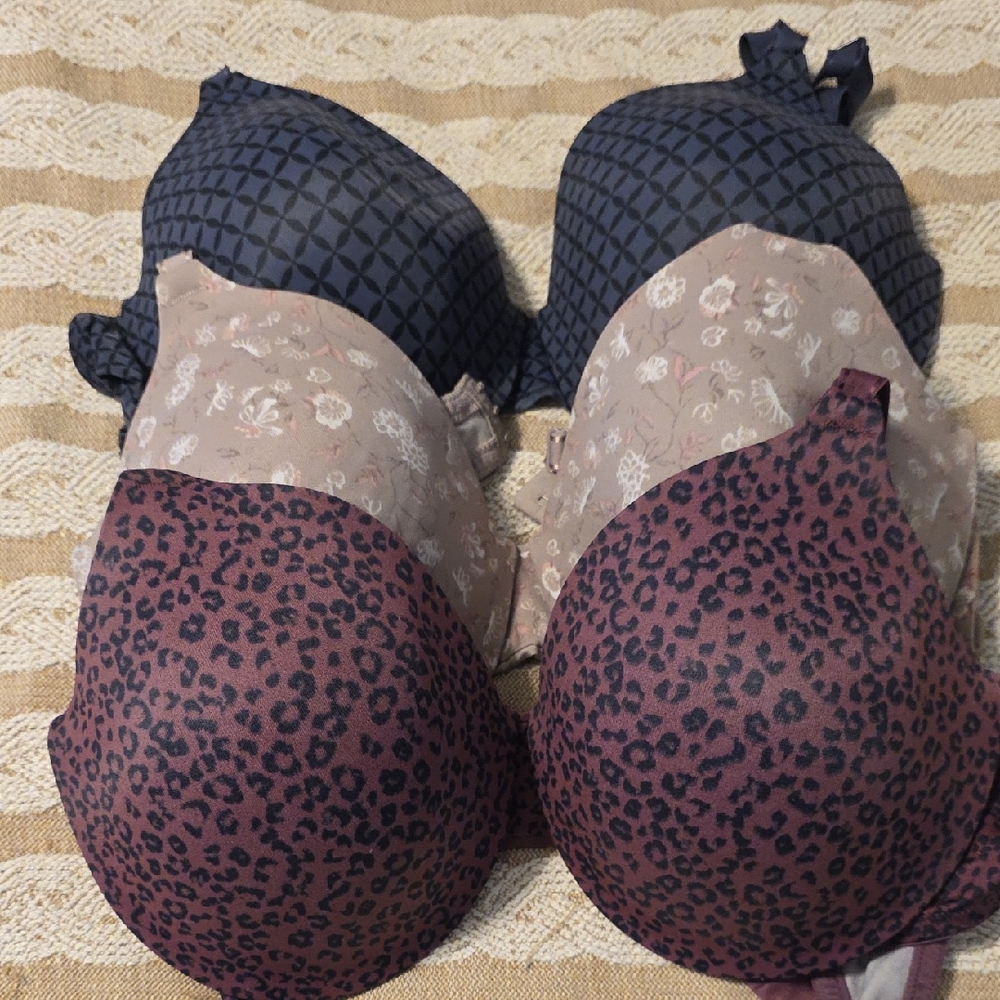 Warner's Purple and Gray Bra Set